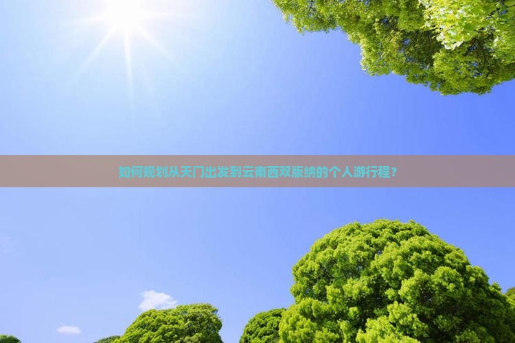 如何规划从天门出发到云南西双版纳的个人游行程？