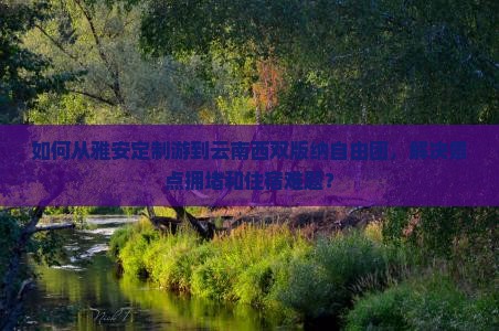 如何从雅安定制游到云南西双版纳自由团，解决景点拥堵和住宿难题？
