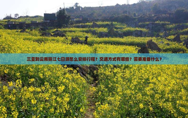 三亚到云南丽江七日游怎么安排行程？交通方式有哪些？需要准备什么？