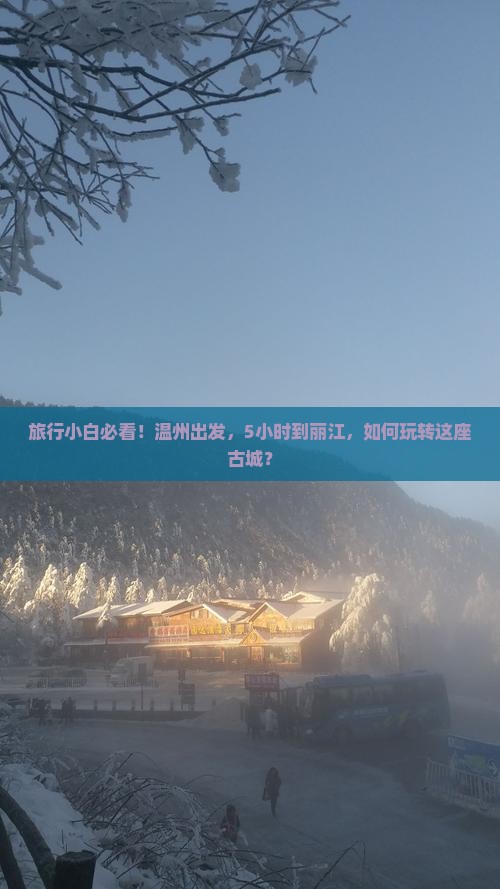 旅行小白必看！温州出发，5小时到丽江，如何玩转这座古城？