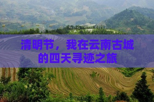 清明节，我在云南古城的四天寻迹之旅