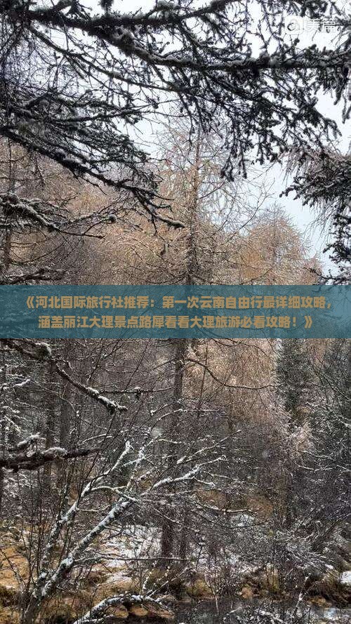 《河北国际旅行社推荐：第一次云南自由行最详细攻略，涵盖丽江大理景点路犀看看大理旅游必看攻略！》