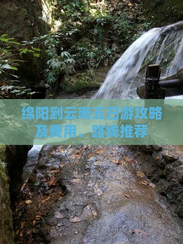 绵阳到云南五日游攻略及费用、路线推荐