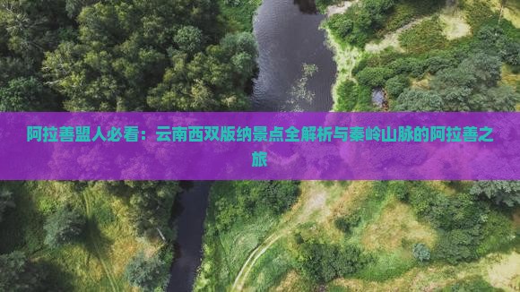 阿拉善盟人必看：云南西双版纳景点全解析与秦岭山脉的阿拉善之旅