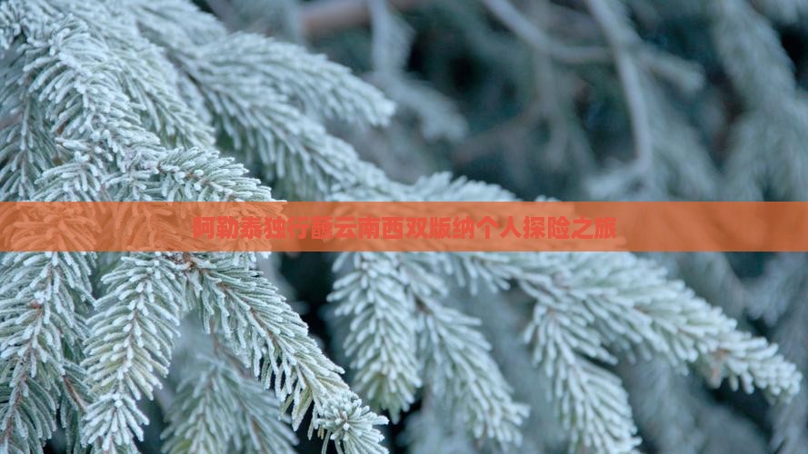 阿勒泰独行蘸云南西双版纳个人探险之旅