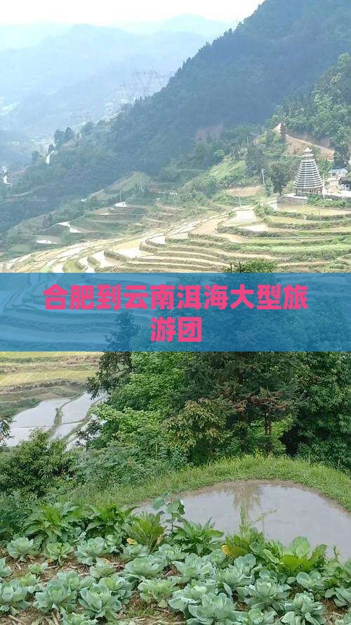 合肥到云南洱海大型旅游团