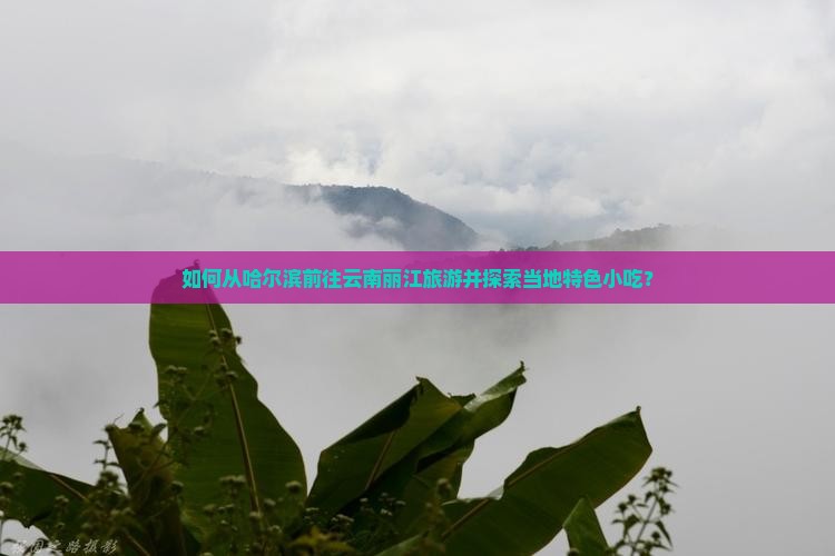 如何从哈尔滨前往云南丽江旅游并探索当地特色小吃？