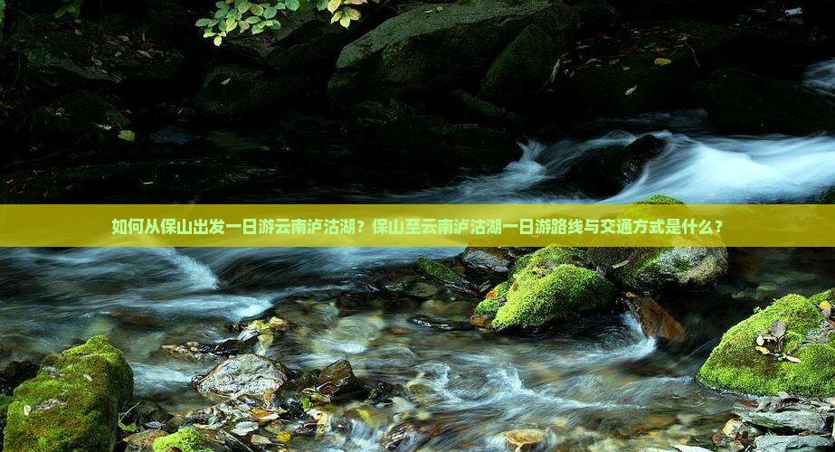 如何从保山出发一日游云南泸沽湖？保山至云南泸沽湖一日游路线与交通方式是什么？