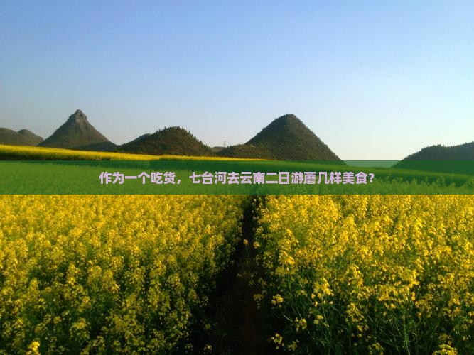 作为一个吃货，七台河去云南二日游蘑几样美食？