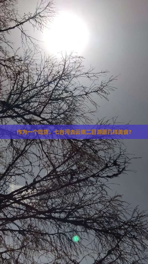 作为一个吃货，七台河去云南二日游蘑几样美食？