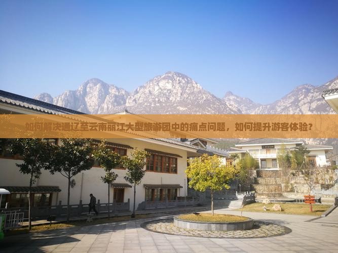 如何解决通辽至云南丽江大型旅游团中的痛点问题，如何提升游客体验？