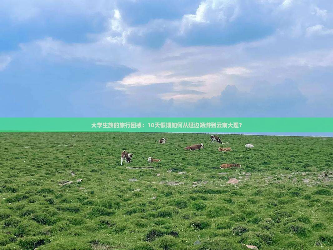 大学生族的旅行困惑：10天假期如何从延边畅游到云南大理？