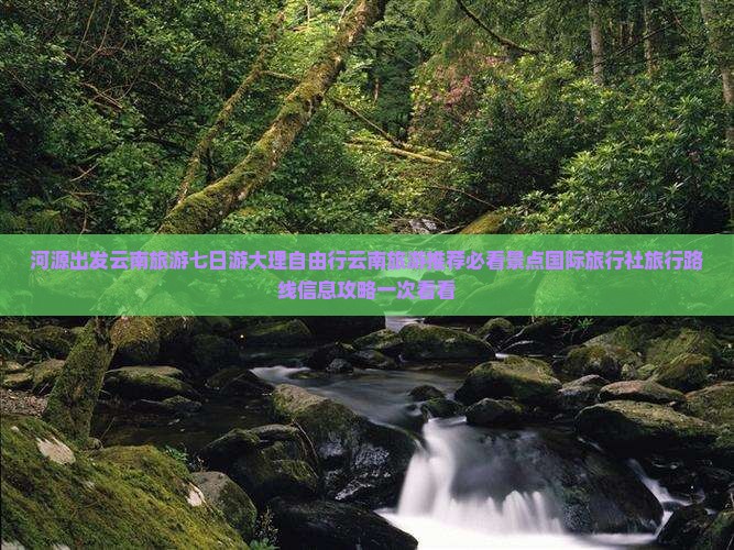 河源出发云南旅游七日游大理自由行云南旅游推荐必看景点国际旅行社旅行路线信息攻略一次看看