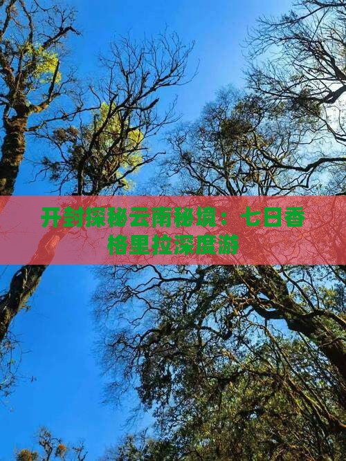 开封探秘云南秘境：七日香格里拉深度游