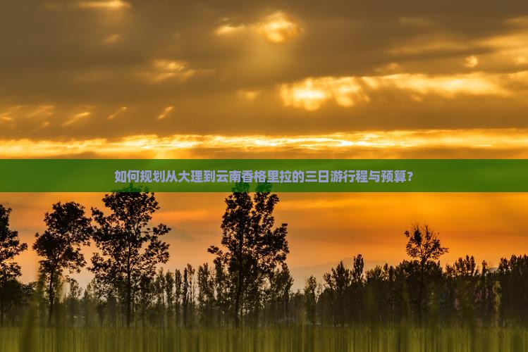 如何规划从大理到云南香格里拉的三日游行程与预算？