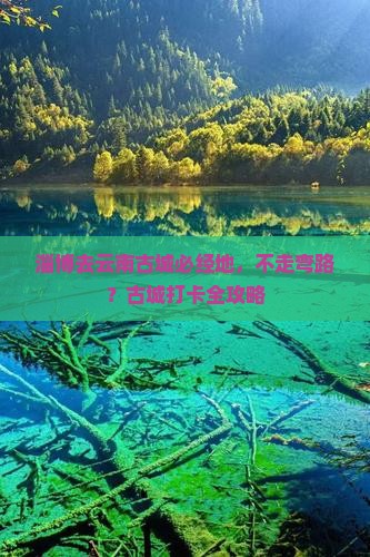 淄博去云南古城必经地，不走弯路？古城打卡全攻略