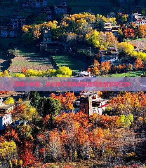 清明小长假，去云南大理来场说走就走的浪漫之旅？