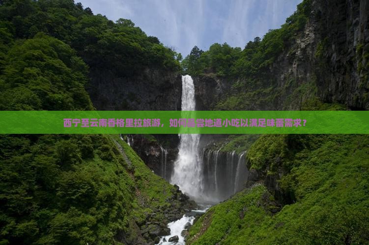西宁至云南香格里拉旅游，如何品尝地道小吃以满足味蕾需求？