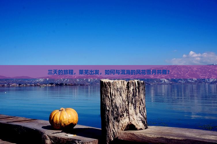 三天的旅程，莱芜出发，如何与洱海的风花雪月共舞？