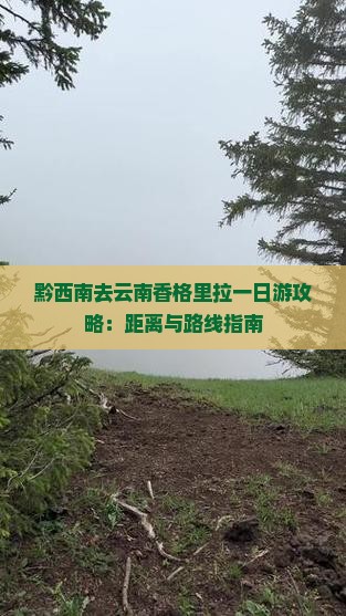 黔西南去云南香格里拉一日游攻略：距离与路线指南