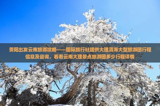 贵阳出发云南旅游攻略——国际旅行社提供大理洱海大型旅游团行程信息及咨询，看看云南大理景点旅游团多少行程详情