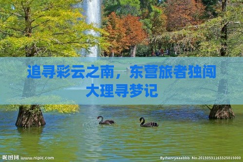 追寻彩云之南，东营旅者独闯大理寻梦记