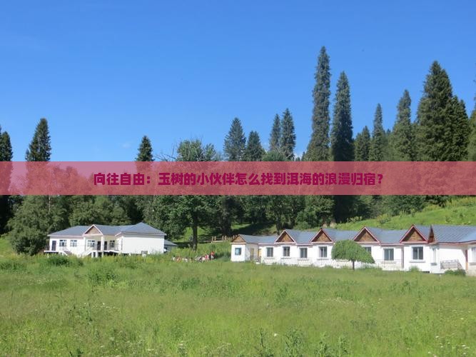 向往自由：玉树的小伙伴怎么找到洱海的浪漫归宿？