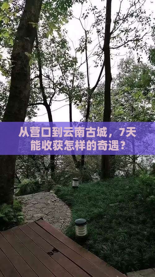 从营口到云南古城，7天能收获怎样的奇遇？
