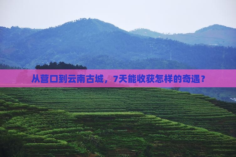 从营口到云南古城，7天能收获怎样的奇遇？