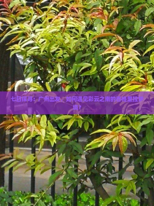 七日探寻：广州出发，如何遇见彩云之南的香格里拉梦境？