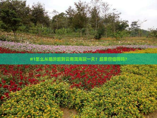 #1怎么从临沂赶到云南洱海玩一天？超累但值得吗？