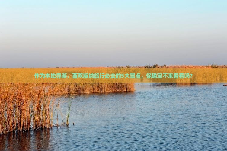 作为本地导游，西双版纳旅行必去的5大景点，你确定不来看看吗？