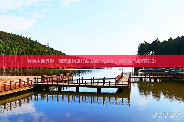 作为本地导游，西双版纳旅行必去的5大景点，你确定不来看看吗？