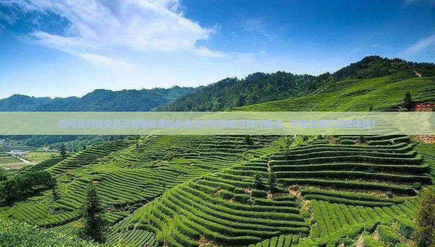 如何规划吉安至云南香格里拉的自由行路犀避开旅行痛点，享受全新沉浸式体验？