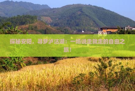 探秘安阳，寻梦泸沽湖：一场说走就走的自由之旅！