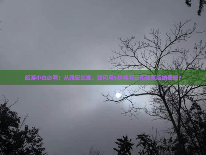 旅游小白必看！从雅安出发，如何用5步畅游云南西双版纳美景？