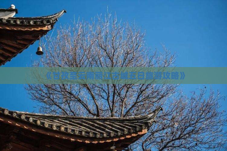 《甘孜至云南丽江古城五日旅游攻略》