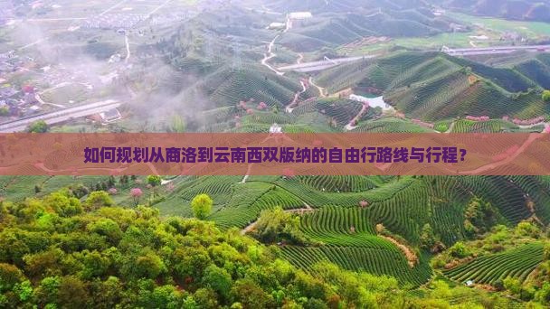 如何规划从商洛到云南西双版纳的自由行路线与行程？