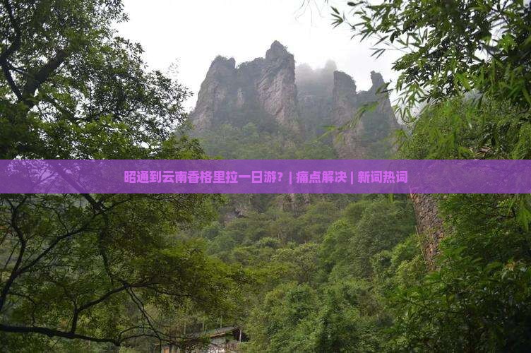 昭通到云南香格里拉一日游？| 痛点解决 | 新词热词