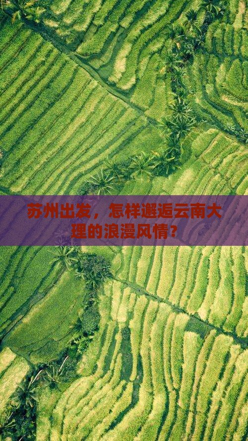 苏州出发，怎样邂逅云南大理的浪漫风情？