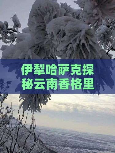 伊犁哈萨克探秘云南香格里拉秘境二日风情游