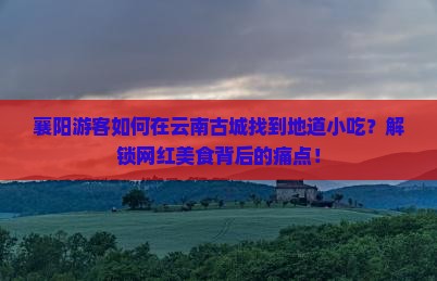 襄阳游客如何在云南古城找到地道小吃？解锁网红美食背后的痛点！