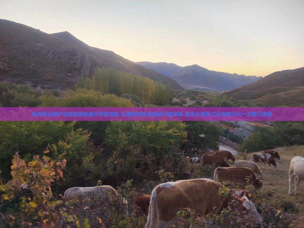 珠海到云南泸沽湖旅游自由行详细攻略-云南旅游景点路线行程咨询-包含大理丽江云南旅行社一次旅行查看