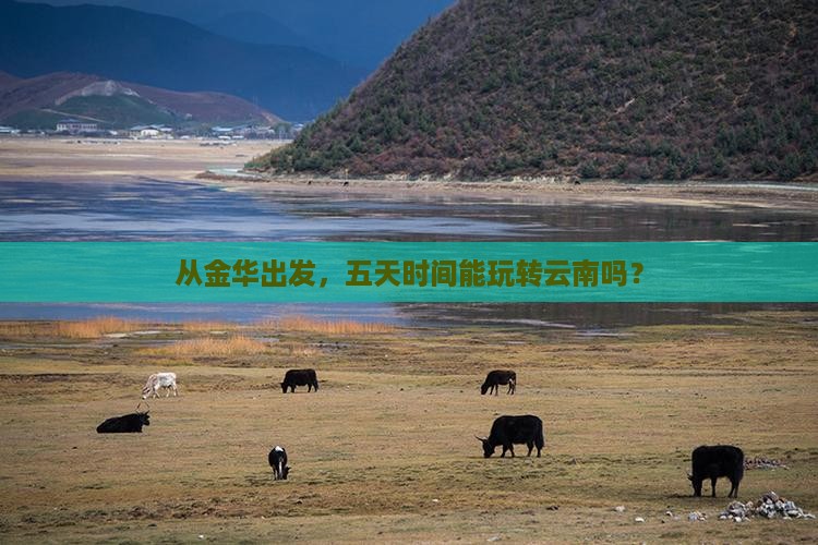 从金华出发，五天时间能玩转云南吗？