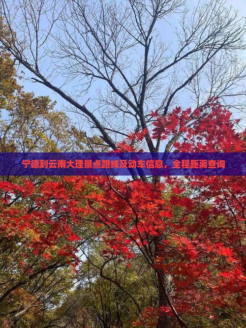 宁德到云南大理景点路线及动车信息，全程距离查询