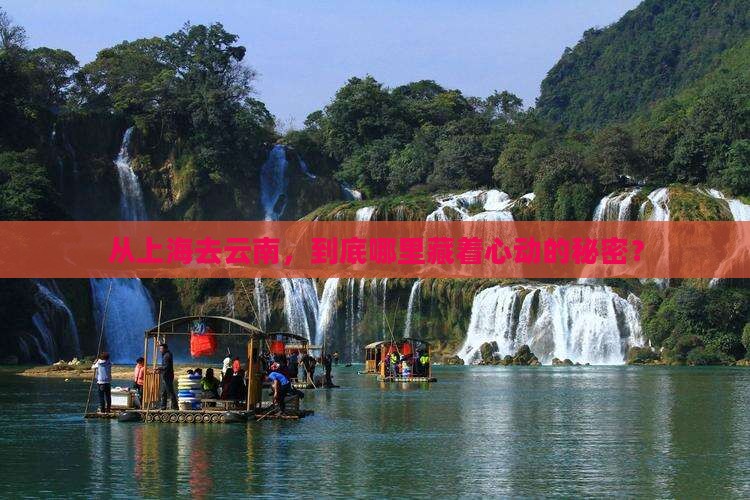 从上海去云南，到底哪里藏着心动的秘密？