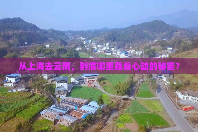 从上海去云南，到底哪里藏着心动的秘密？