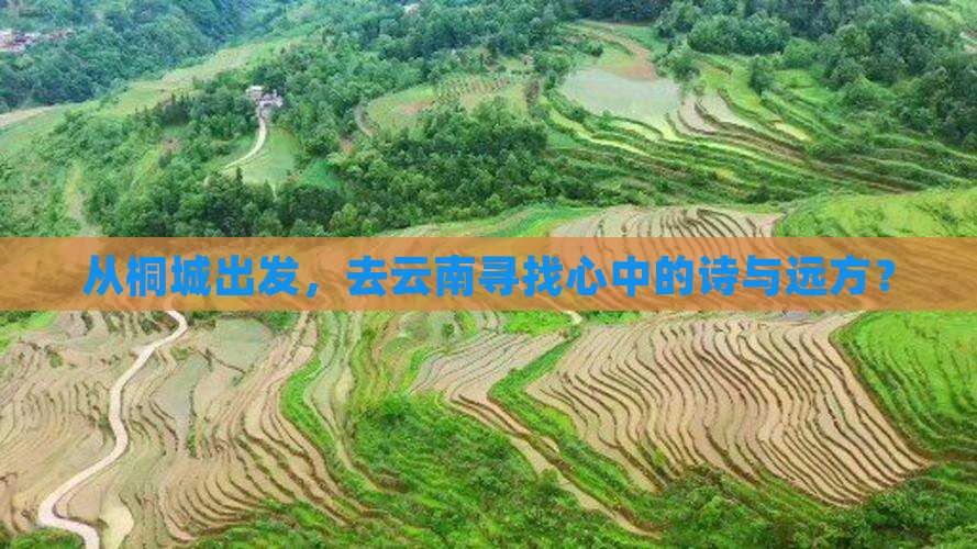 从桐城出发，去云南寻找心中的诗与远方？