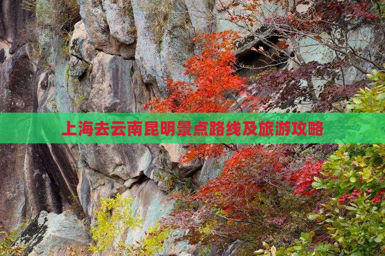 上海去云南昆明景点路线及旅游攻略
