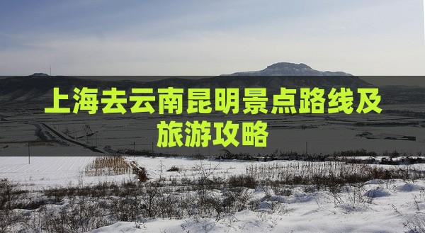 上海去云南昆明景点路线及旅游攻略